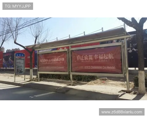 d88尊龙会员注册成功后如何激活账户并享受全部尊龙会员权益